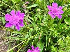 -白草畔自然风景区