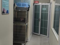 -子乐宠物医院
