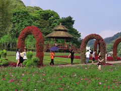 -广州市石门国家森林公园