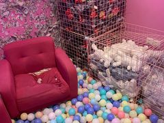 -BIG PINK大粉娃娃机主题馆(圆融星座店)