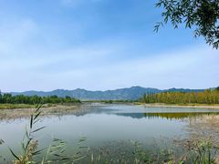 -野鸭湖国家湿地公园