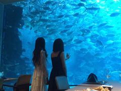 -海棠湾洲际-涛·海底餐厅·美人鱼·自助餐·海底隧道