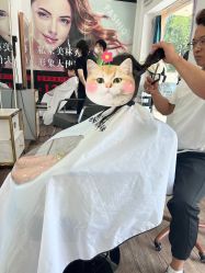 -私家美林护肤造型