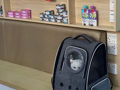 -宠颐生猫科·内科皮肤科(西平世纪城店)