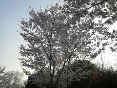 -堤角公园