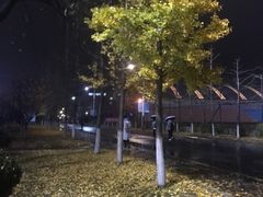 -大连外国语大学(旅顺校区)