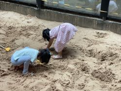 -PIPIKINGDOM皮皮王国欢乐号(欢乐海岸购物中心店)