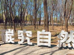 -将府公园