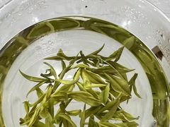 -阳光慧所茶馆