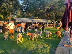 -宠乐会宠物乐园