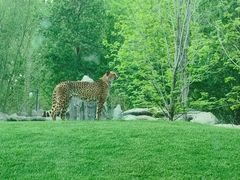 -北京野生动物园
