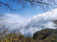 -白草畔自然风景区