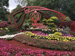 -上海共青森林公园