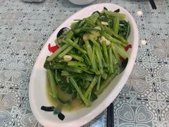 菜心-潮汕铺老店(甜水井店)