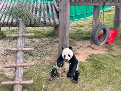 -西霞口神雕山野生动物世界