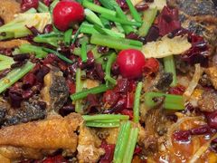 -老板恋上鱼(恒隆广场店)