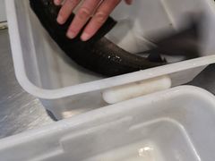 -T11生鲜超市(朝阳公园店)