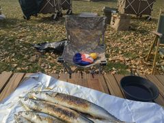 -TIPPI营地 房车主题·露营烧烤团建轰趴(天安假日店)