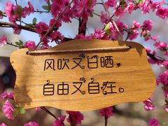 -北京凤凰岭