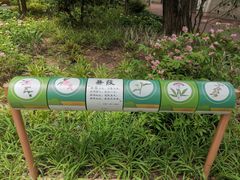 -和平公园