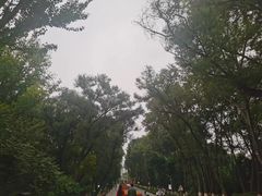 -西宁市人民公园(城西区)