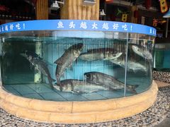 -年辉渔村