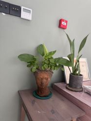 -无界瑜伽普拉提