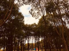-嘉北郊野公园