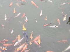 -檀园