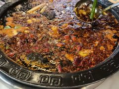 -费明中罗非鱼(大石坝店)