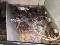 -合家小菜餐馆(新诚花苑店)