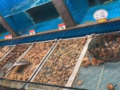 -码头鲜精致威海菜(欧乐坊店)