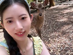 -奈良公园
