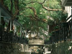 -小洲村