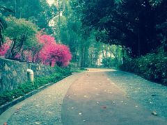 iphone_upload_pic-狐尾山公园