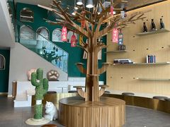 大堂-飞行喵MR PILOT|猫舍·猫咖(静安大融城店)