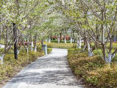 -狼山风景名胜区