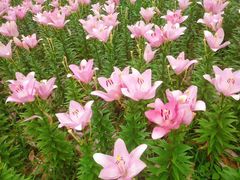 -长春公园(普阳街道)