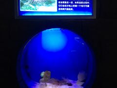 -左海海底世界