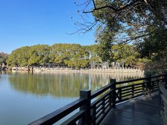 -白马涧龙池景区