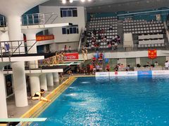 -重庆市奥林匹克体育中心-游泳跳水馆