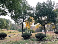-合肥野生动物园