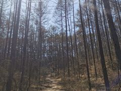 -萨尔浒风景区