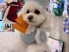 -comecome来吧宠物(奥克斯中心店)