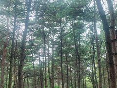 -棋盘山风景区