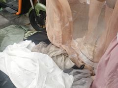 -晓港公园