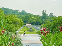 -上海吴淞炮台湾国家湿地公园