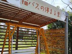 -前小桔亲子创意农场·草莓采摘·露营烧烤