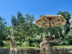 -水上乐园·欢乐世界