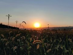 -敕勒川草原文化旅游区